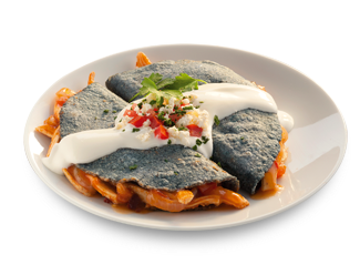 MASECA delicias con pollo
